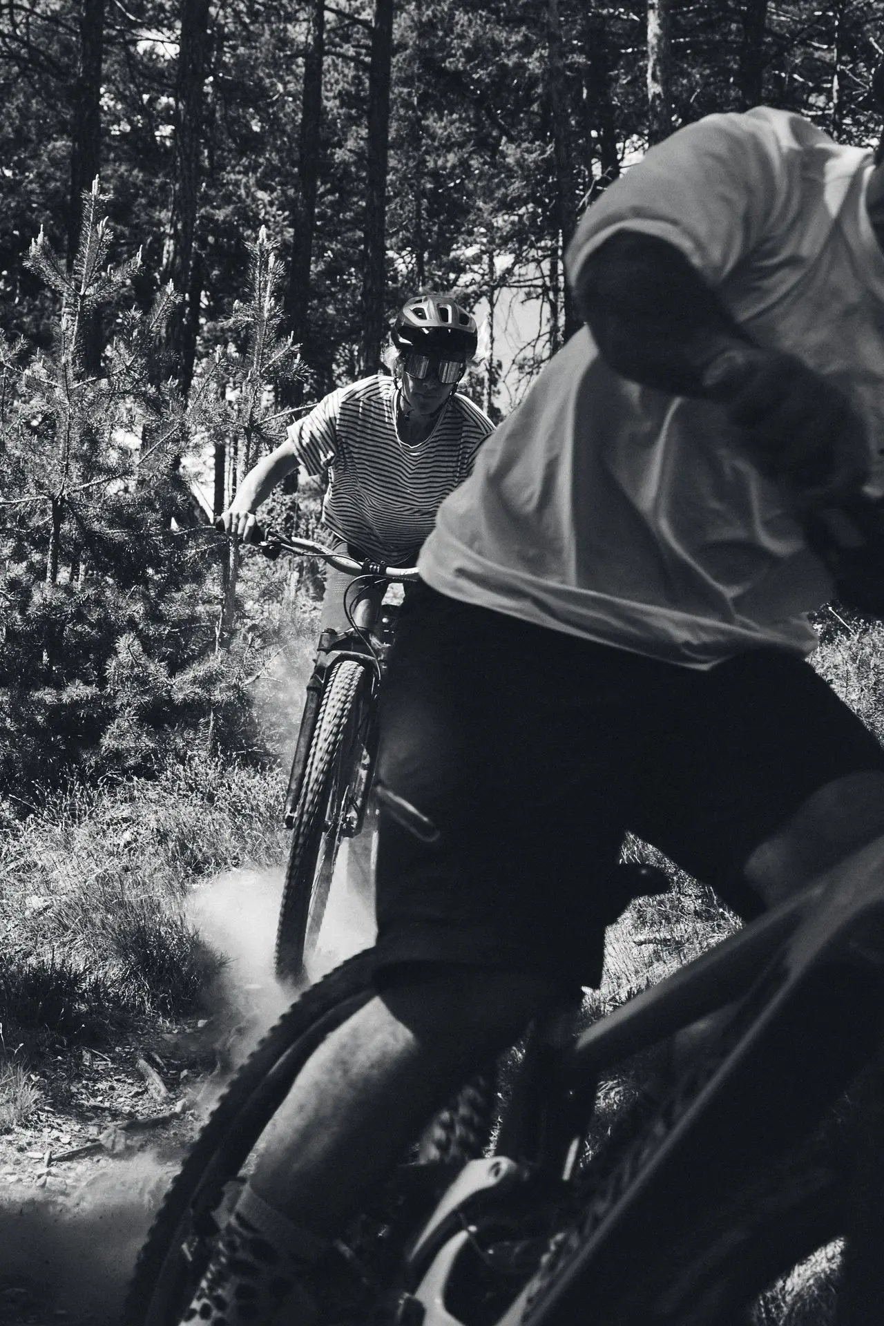 Montana Guiding
